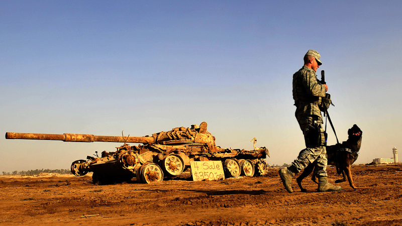 Illustration for article titled 26 Awesome Photos of War Dogs Showing How Badass and Cute They Can Be
